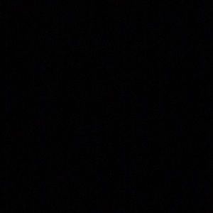 Meet your Posher, Kinsley